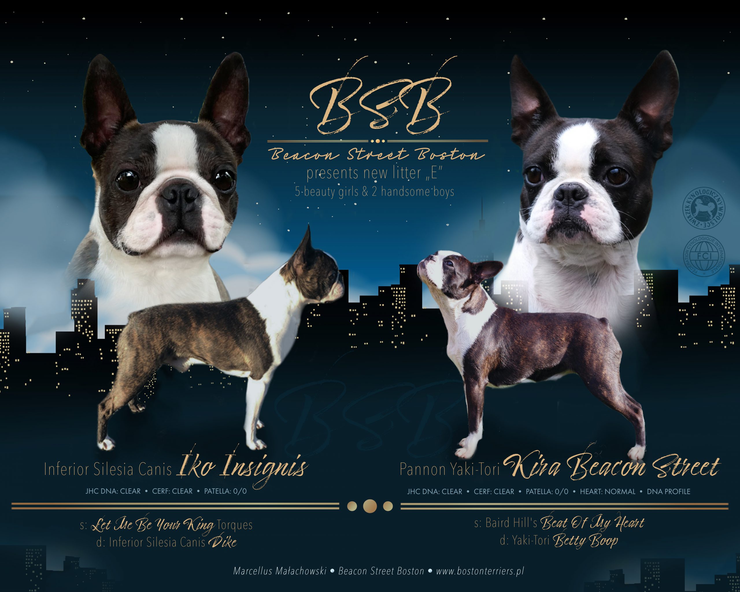 We are very pleased to announce our next litter "E"