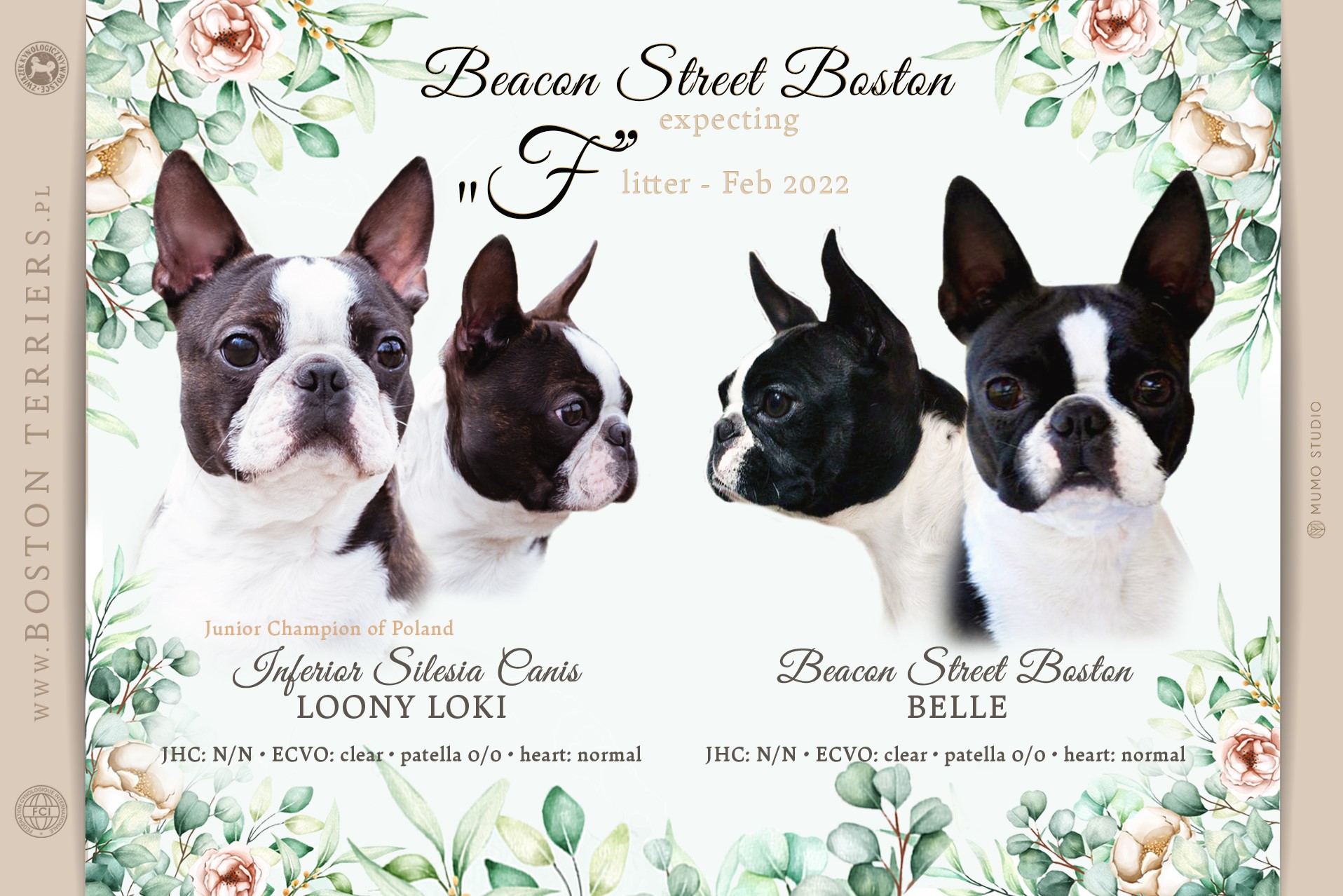 Beacon Street Boston FARGO – zdjęcie 2